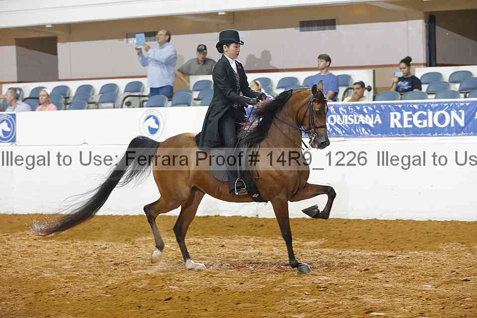 Proof 14r9_1226