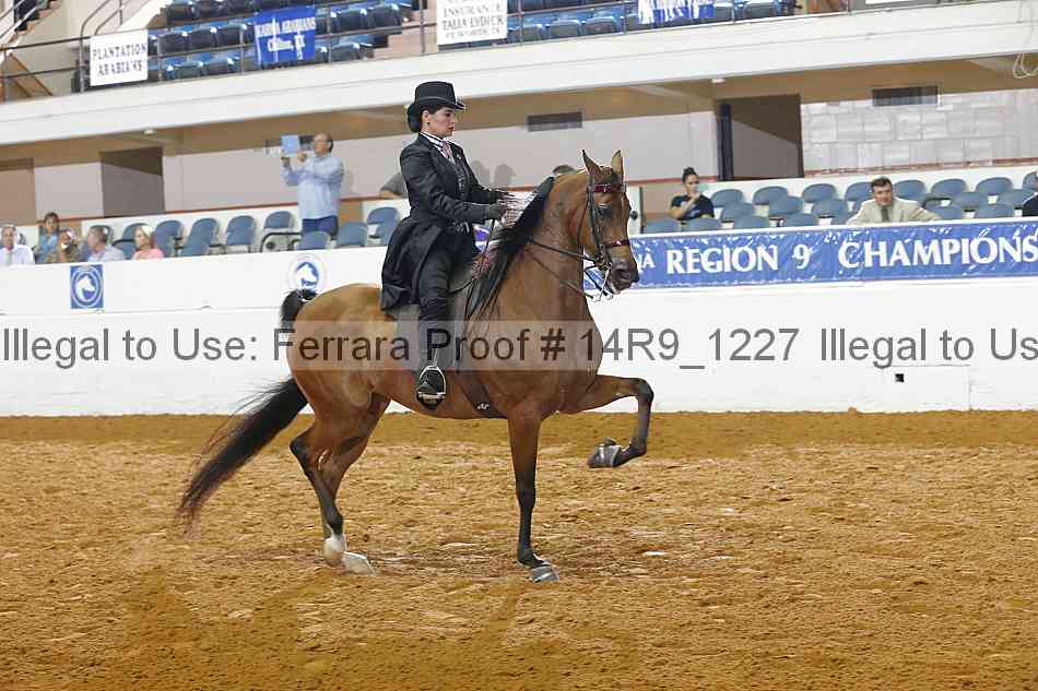 Proof 14r9_1227