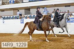 14r9_1229 proof