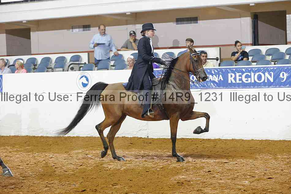Proof 14r9_1231