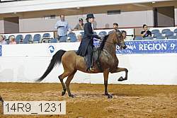 14r9_1231 proof