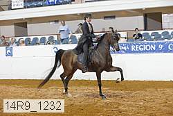 14r9_1232 proof