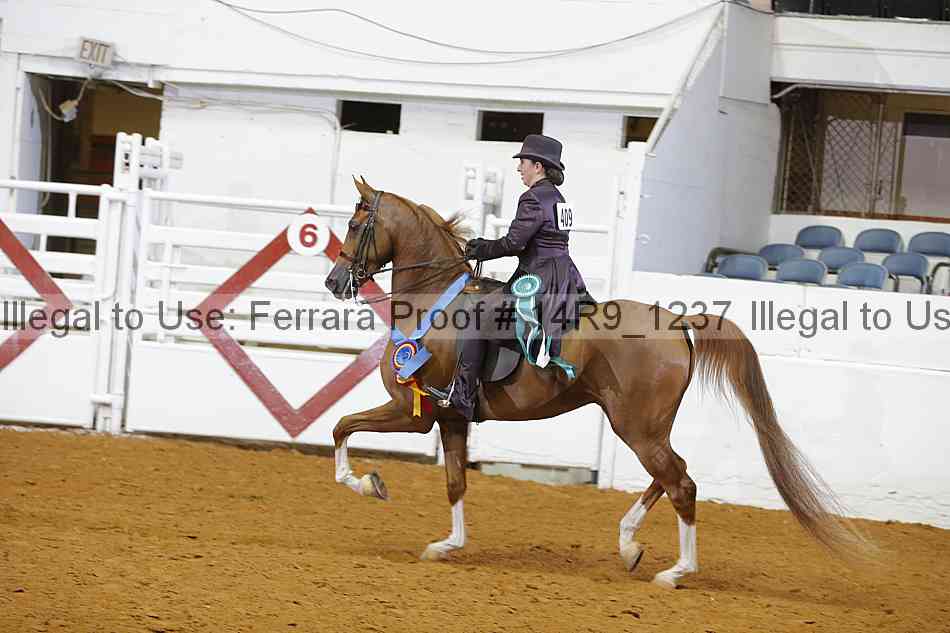 Proof 14r9_1237