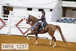 14r9_1237 proof