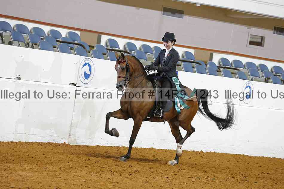 Proof 14r9_1243