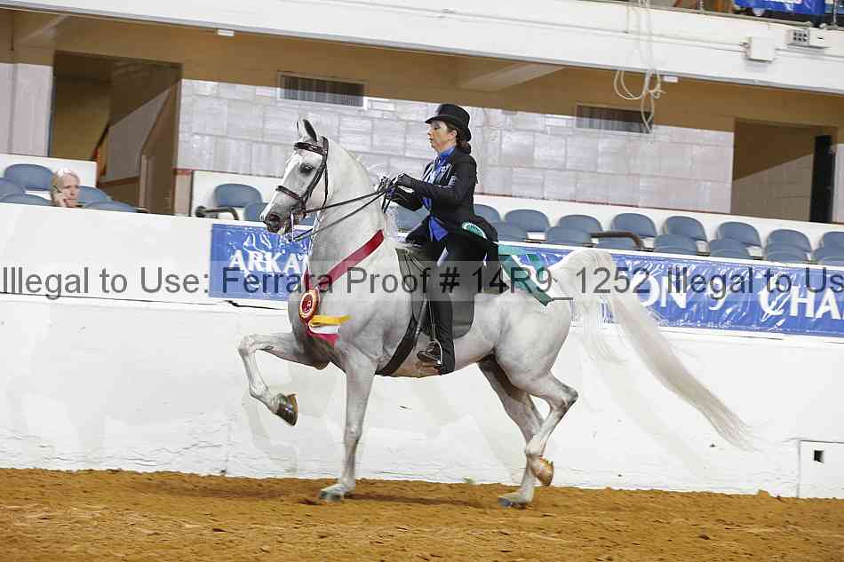 Proof 14r9_1252