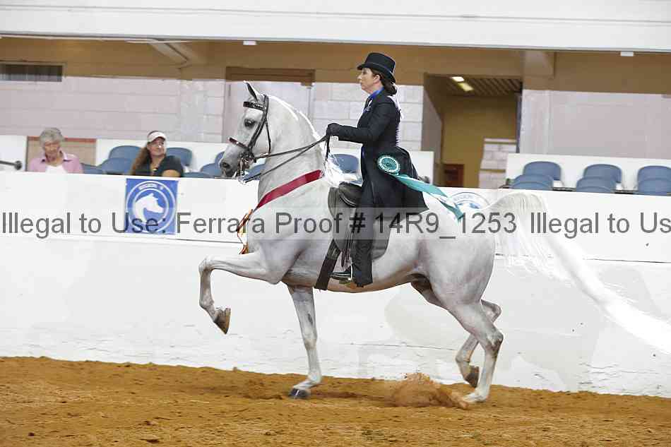 Proof 14r9_1253