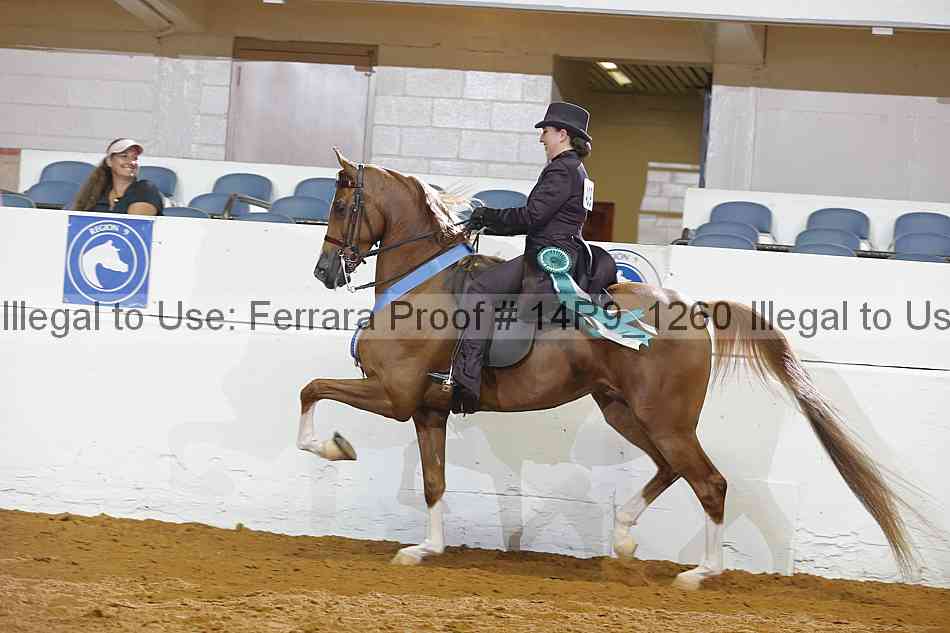 Proof 14r9_1260