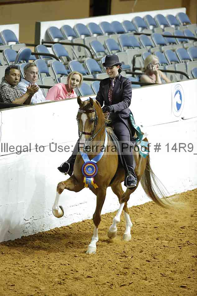 Proof 14r9_1262