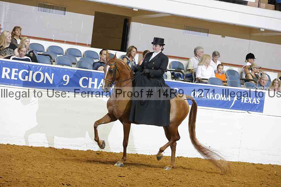 Proof 14r9_1271