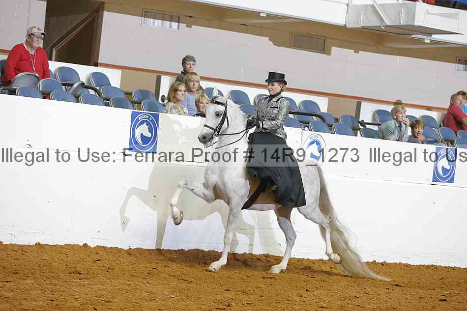 Proof 14r9_1273