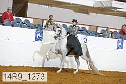 14r9_1273 proof