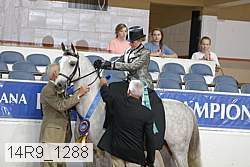 14r9_1288 proof