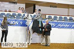 14r9_1290 proof