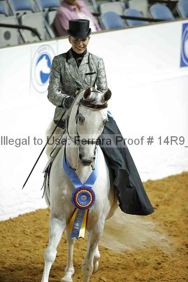 Proof 14r9_1293
