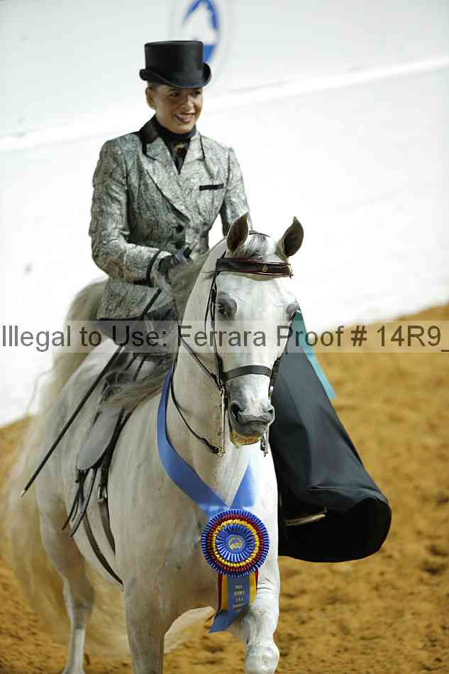 Proof 14r9_1294