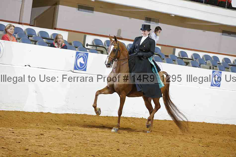 Proof 14r9_1295