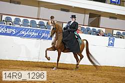 14r9_1296 proof