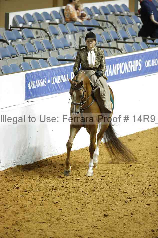 Proof 14r9_1301
