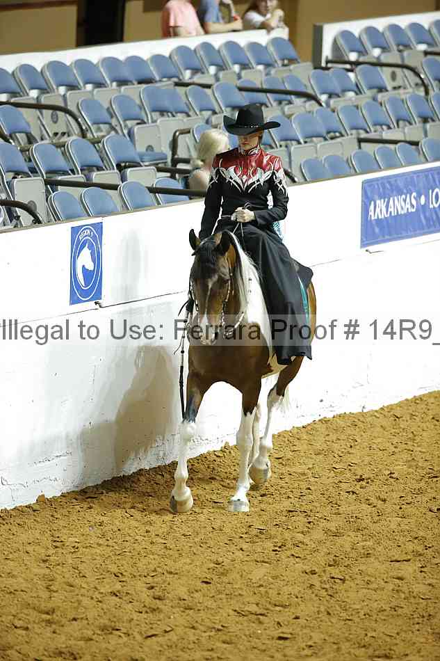 Proof 14r9_1306
