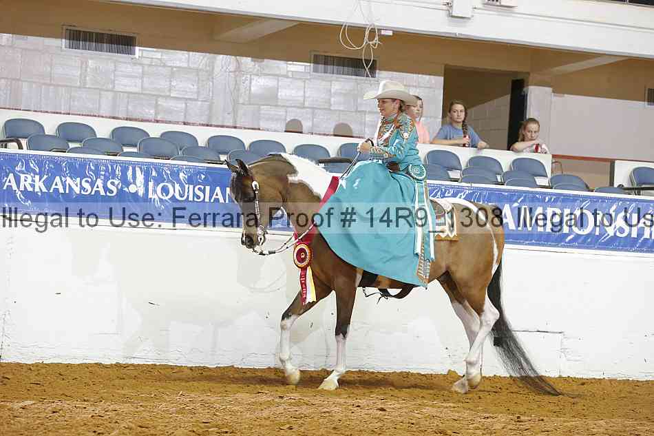 Proof 14r9_1308