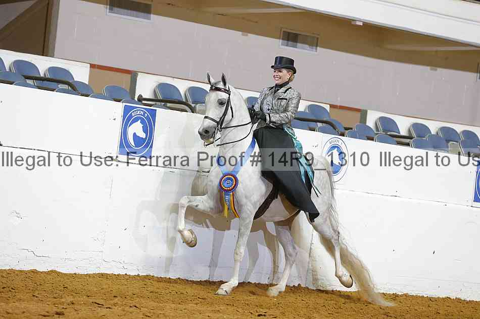 Proof 14r9_1310