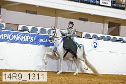 14r9_1311 proof