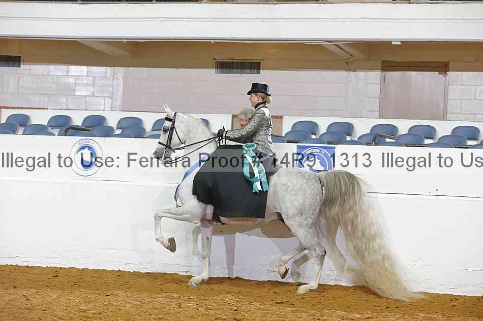 Proof 14r9_1313