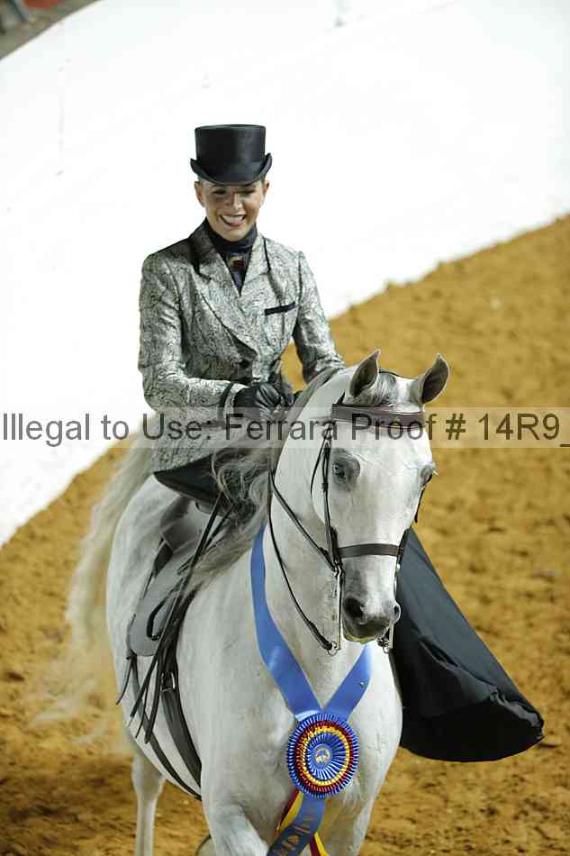 Proof 14r9_1317