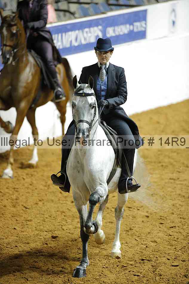 Proof 14r9_1325