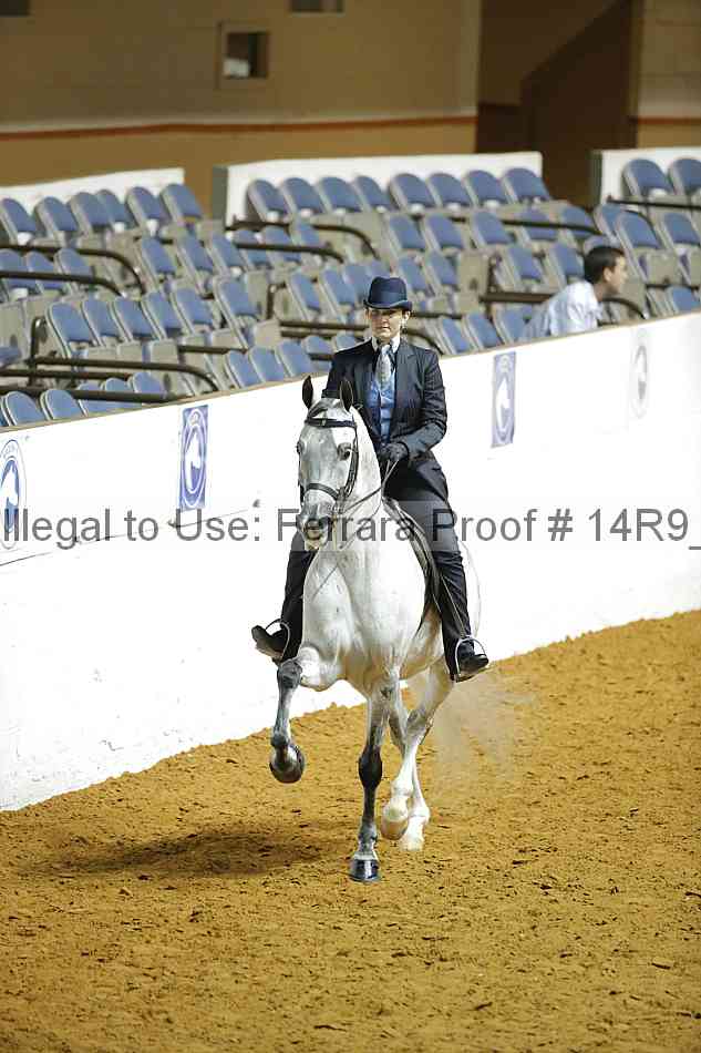 Proof 14r9_1332