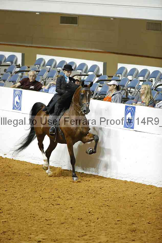 Proof 14r9_1341