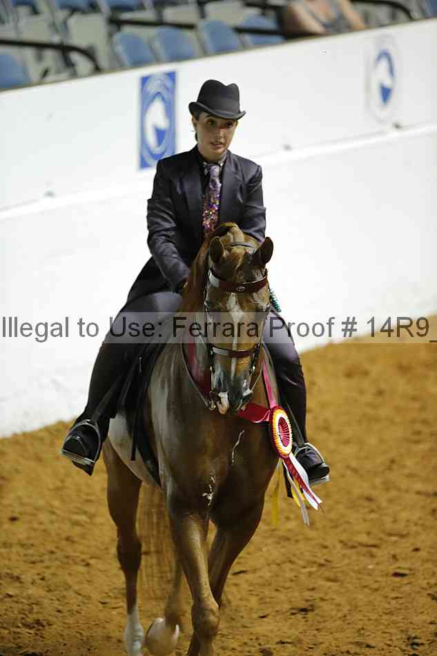 Proof 14r9_1348