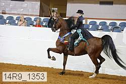 14r9_1353 proof