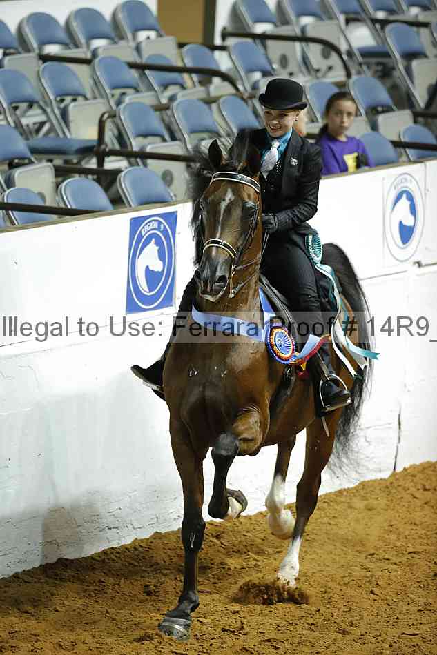 Proof 14r9_1355