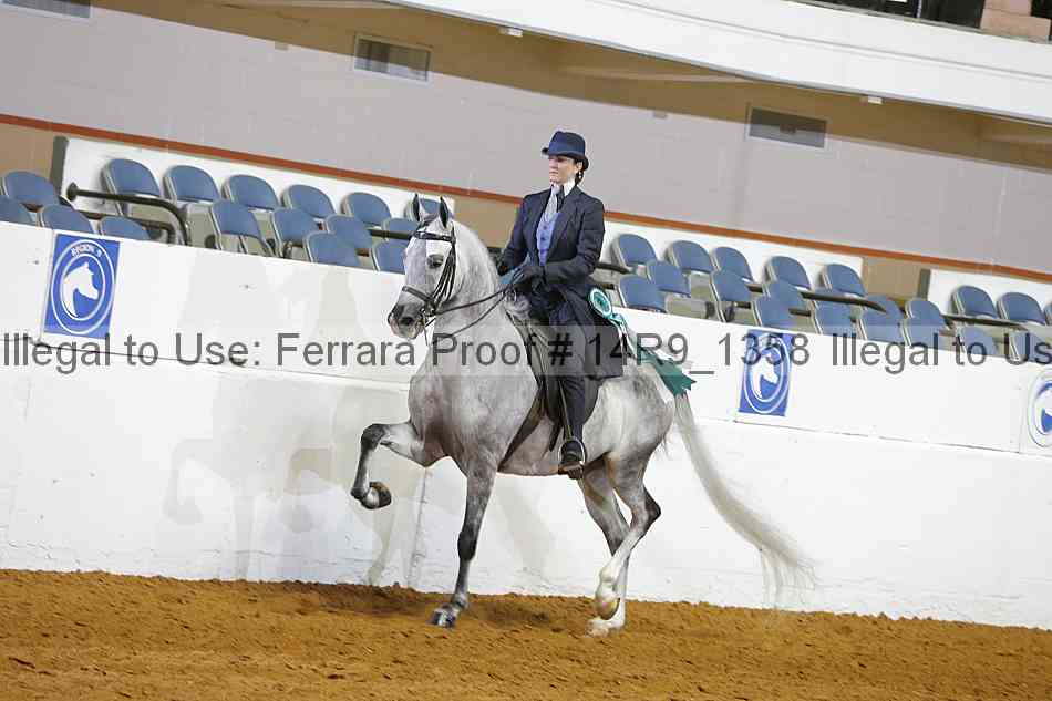 Proof 14r9_1358