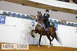 14r9_1368 proof