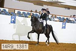 14r9_1381 proof