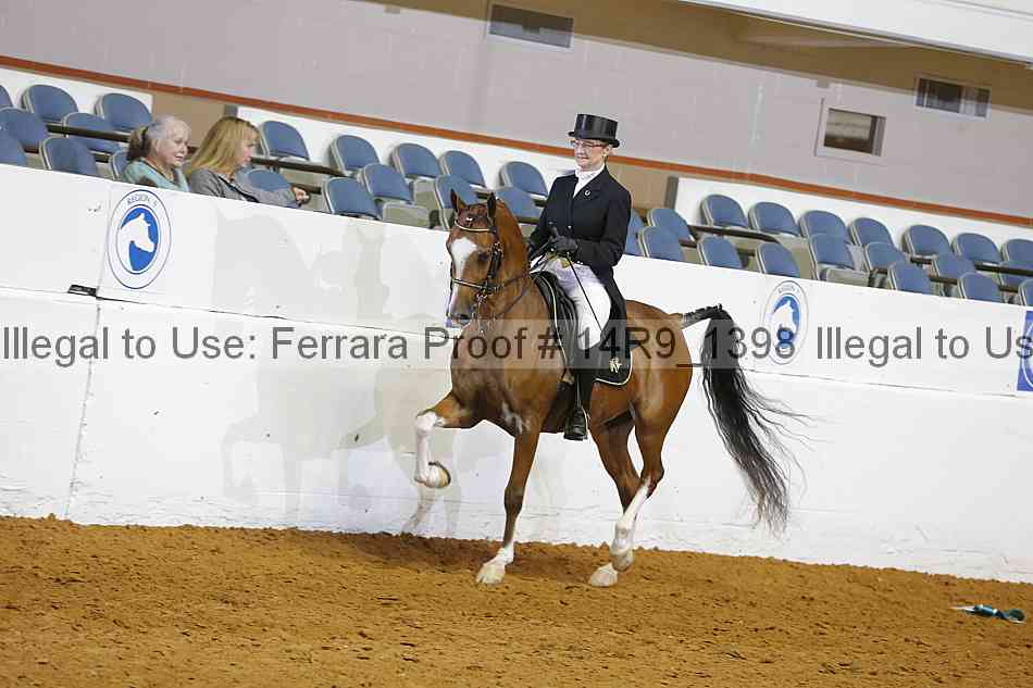 Proof 14r9_1398