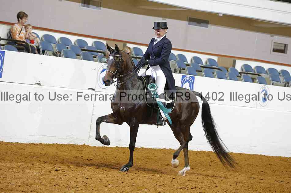 Proof 14r9_1402