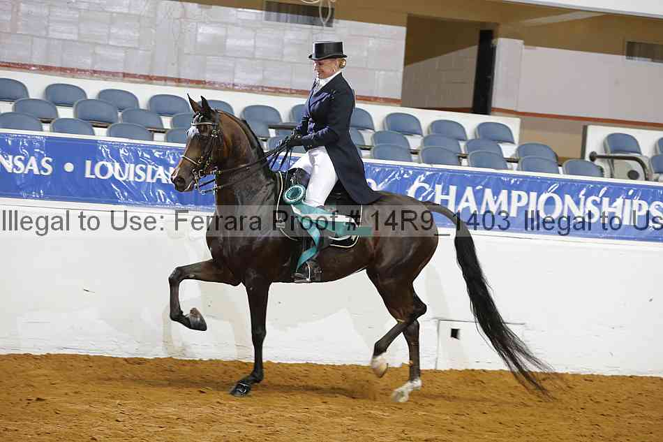 Proof 14r9_1403