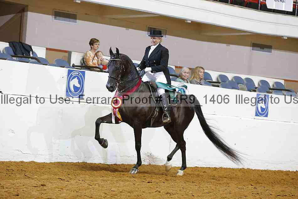 Proof 14r9_1406