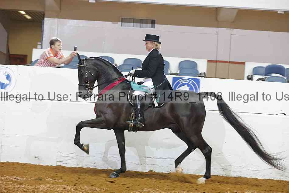 Proof 14r9_1408