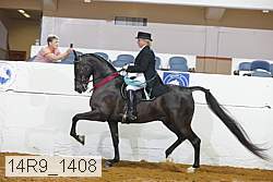 14r9_1408 proof