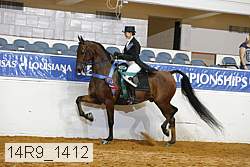 14r9_1412 proof