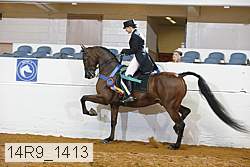 14r9_1413 proof