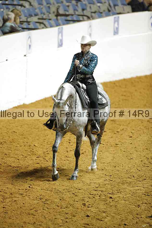 Proof 14r9_1439