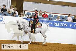 14r9_1461 proof