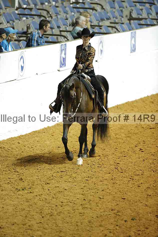 Proof 14r9_1468