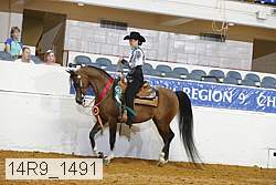 14r9_1491 proof
